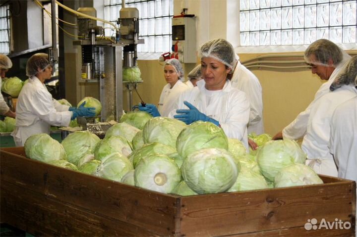 Фасовщик вахта с проживанием