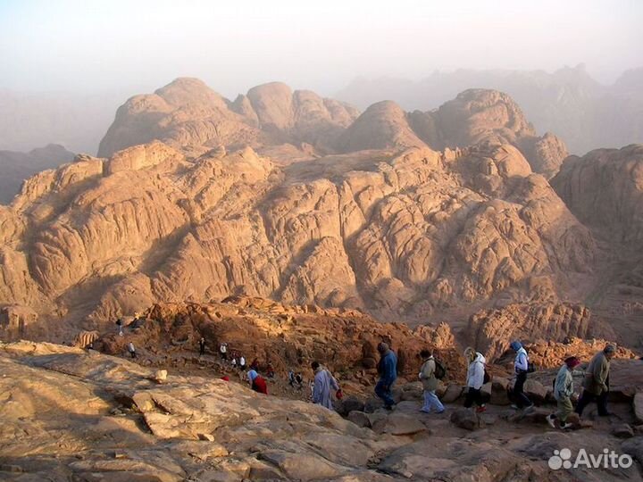 Экскурсия — Шарм-Эль-Шейх — По Святым Местам Синая