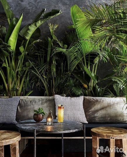 Озеленение интерьера