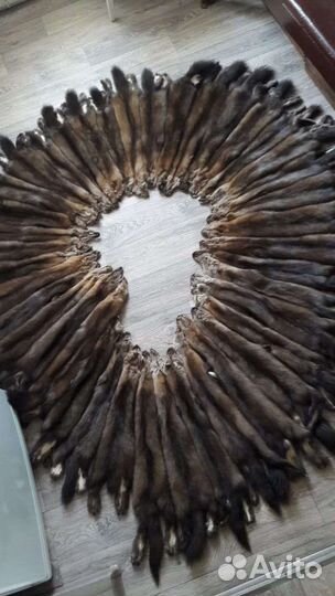 Шкуры соболя