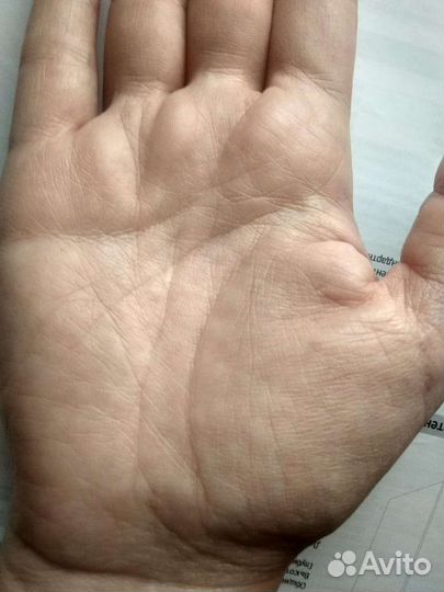 Обучение хиромантии, просмотры линий рук