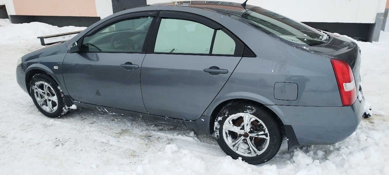 Nissan Primera: фото владельца