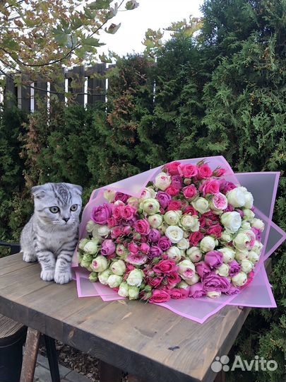 Цветы доставка круглосуточно