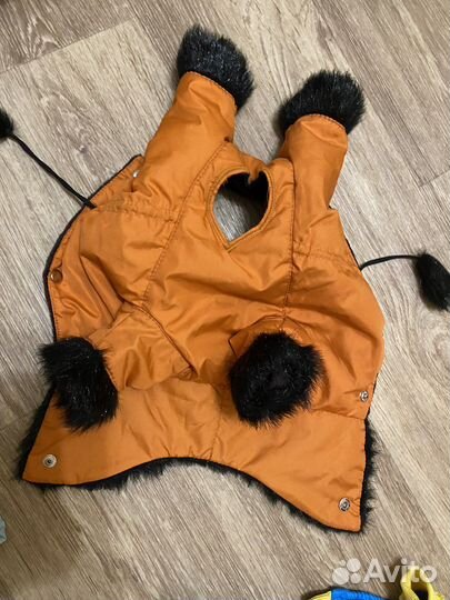 Костюм для собаки