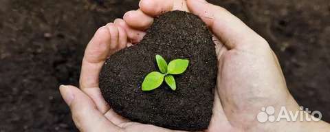 Органическое удобрение биогумус(вермикомпост)