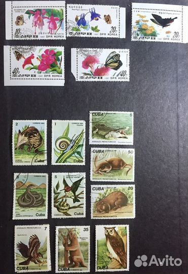 Почтовые марки. Животный мир, фауна. 23 набора