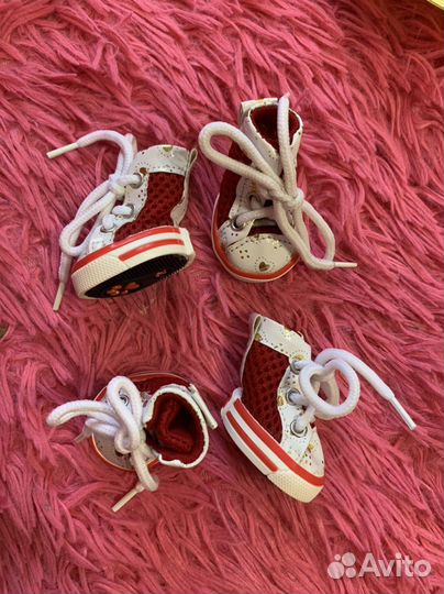 Кеды для собак 2 размер