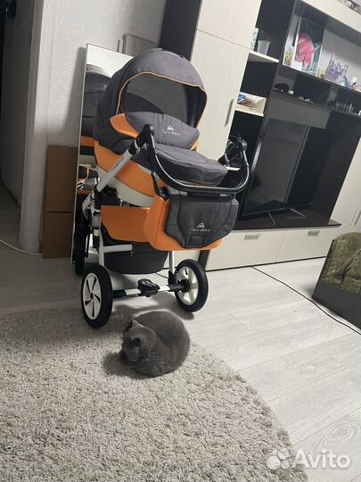 Коляска 2 в 1
