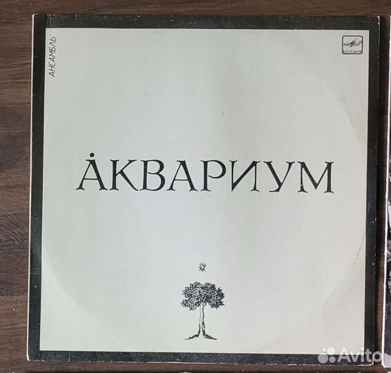 Группа Аквариум Радио Африка