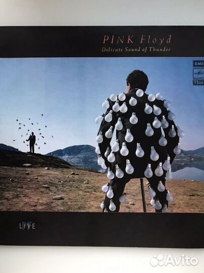 Пластика pink Floyd