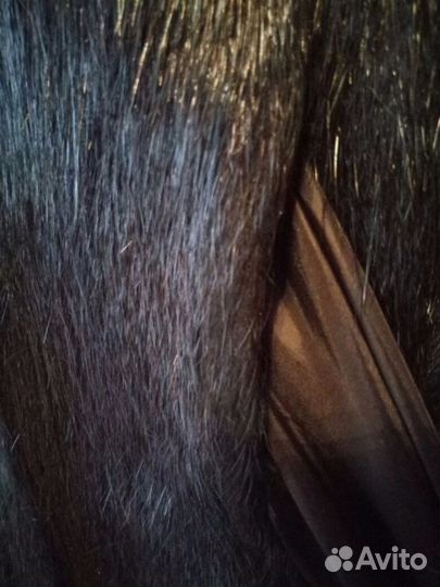 Шуба нутрия