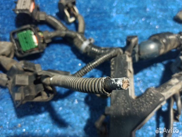 Проводка двигателя Honda Pilot 2