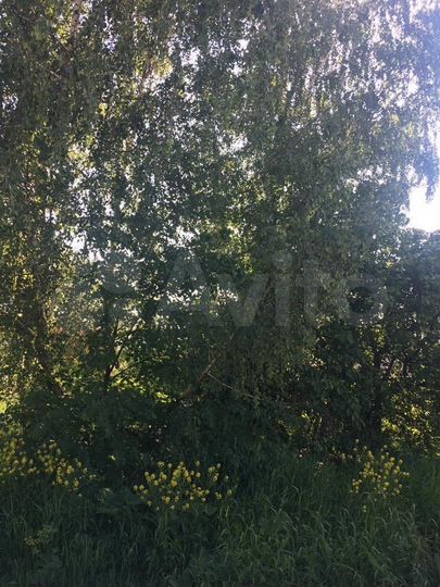 Участок 9,3 сот. (ИЖС)