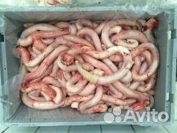 Бычий корень