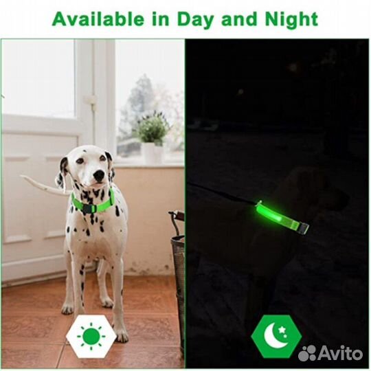 Светящийся ошейник для собак