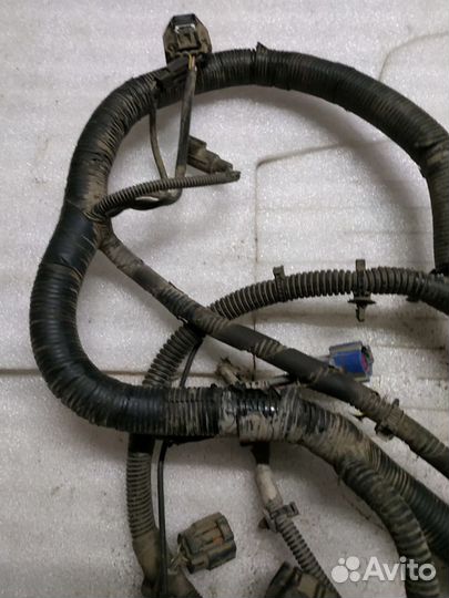 Проводка моторная Ford Mondeo 3 (2000-2007)