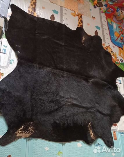 Шкурка животного