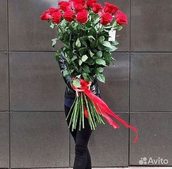 101 роза цветы букеты доставка 25 51 101 роза