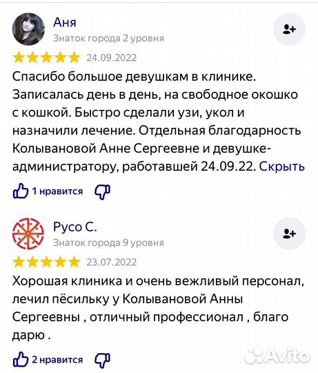 Ветеринарный врач.Онлайн консультация