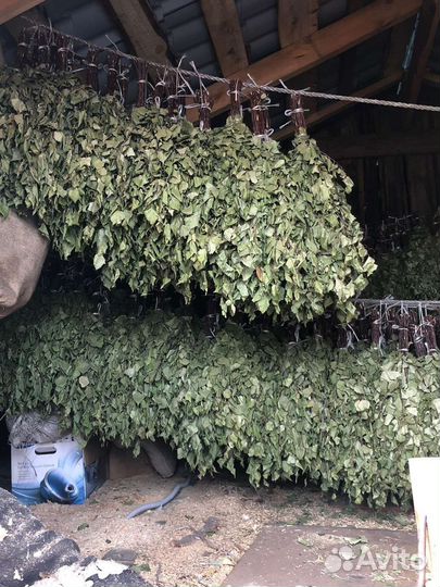 Веники для бани