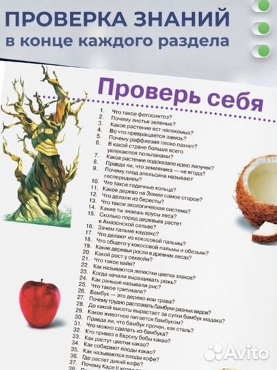 Большая Энциклопедия Школьника для детей