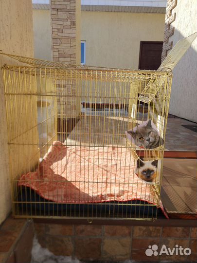 Вольер (клетка) для котят, щенят и попугаев