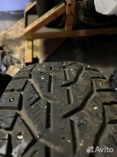 Tigar Ice 185/65 R15