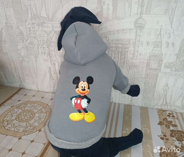 Кофта для собак