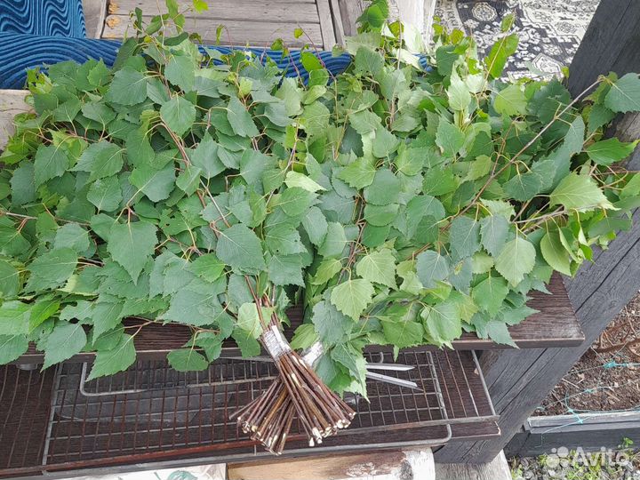 Веники для бани берёзовые