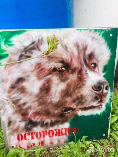Табличка осторожно злая собака