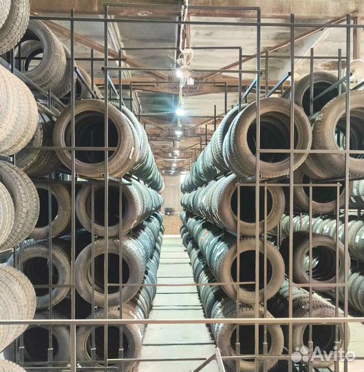 Triangle IceLink Trin PS01 205/60 R16 96W