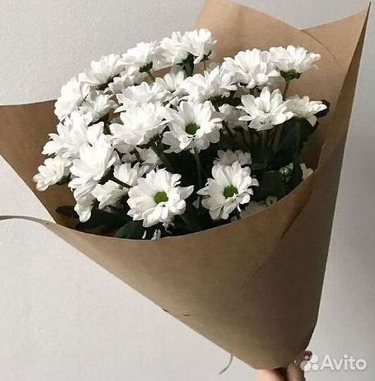 Хризантема Доставка цветов Букеты
