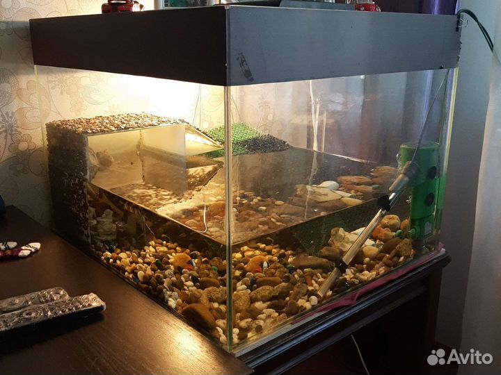 Террариум с двумя красноухими черепахами