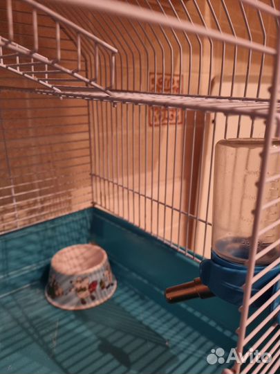 Клетка + шар для хомяка со всем необходимым