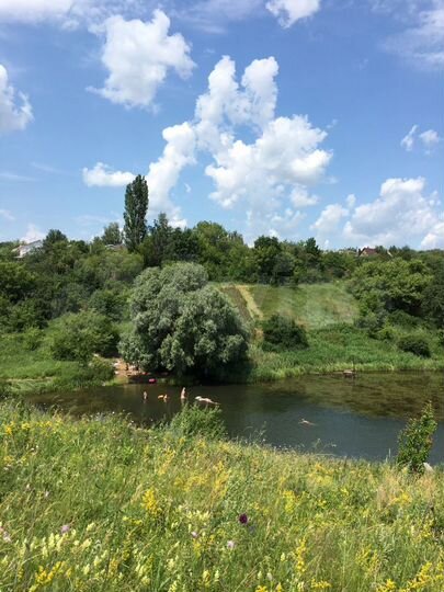 Участок 9 сот. (СНТ, ДНП)