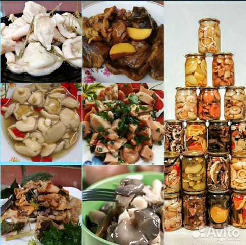 Маринованные, солёные, сушёные лесные грибы