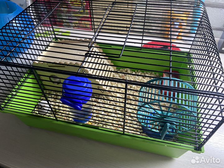 Хомяк с клеткой