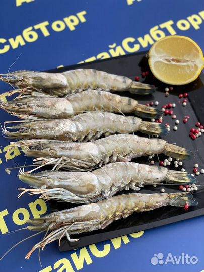 Черная тигровая креветка