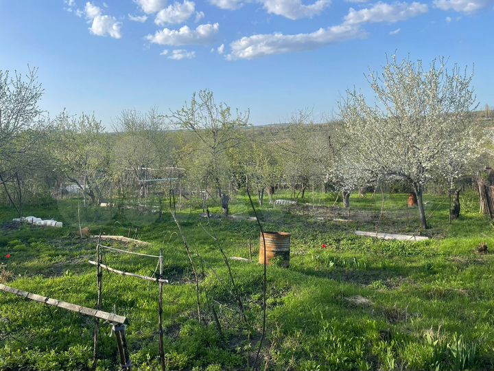 Участок 7 сот. (СНТ, ДНП)