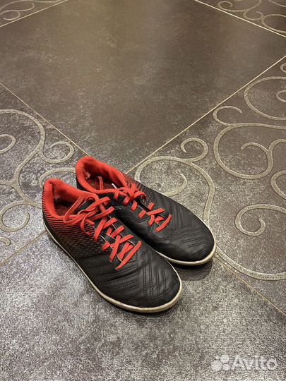 Фудзалки сороконожки