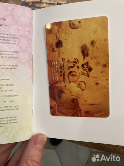 Паспорт туриста