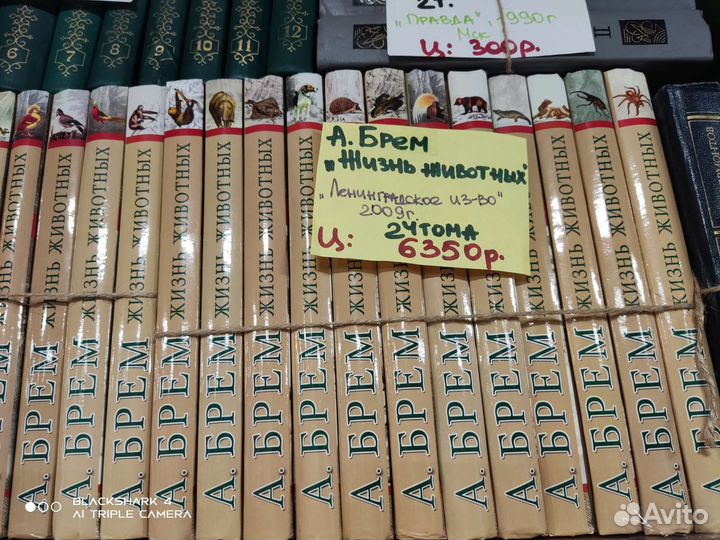 Альфред Брем 