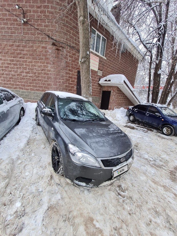Kia Ceed: фото владельца