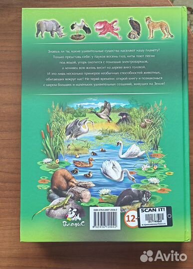 Большая детская энциклопедия