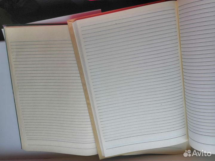 Амбарные книги ссср2шт.Папка бумага Юный худ