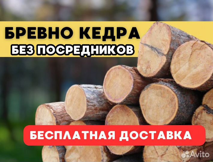 Бревна кедр
