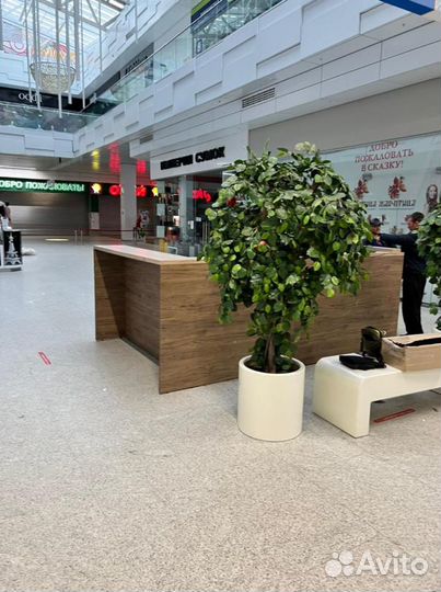 Торговый островок для кофейни