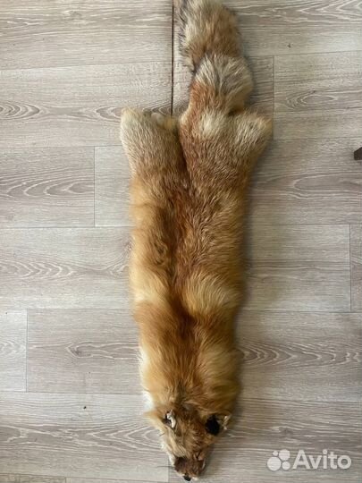 Лисья шкура