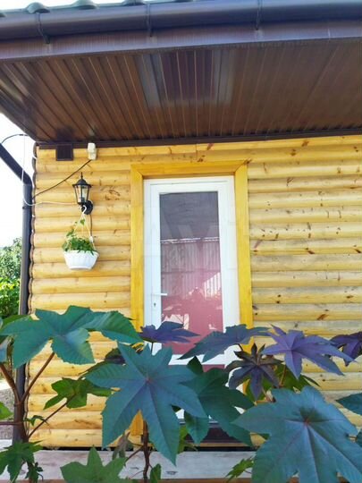 Дом 20 м² на участке 4 сот.