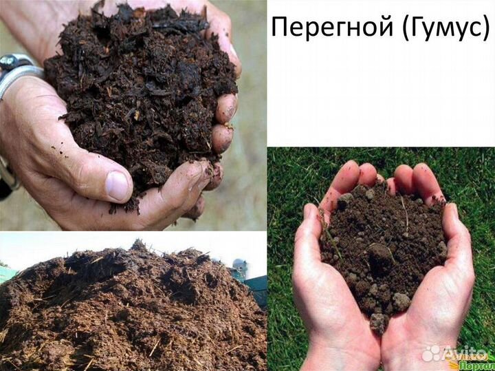 Навоз перегной земля